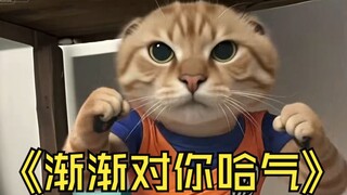 渐渐对你哈气