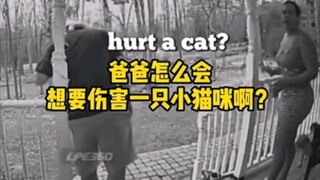 لماذا تؤذي القطط 🐱