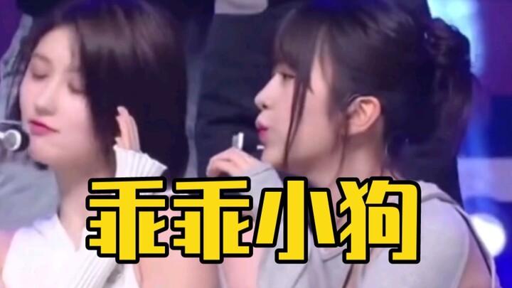 终于get到为什么安宥真是小狗了