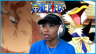 TROUBLE OCCURS! SEEK DR. VEGAPUNK! | ONE PIECE EPISODE 1106 REACTION