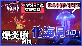 【他ワールドへも出張OK】化海月単騎で爆炎樹【原神】