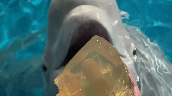 Titik hitam kecil langsung menyala saat dinyalakan