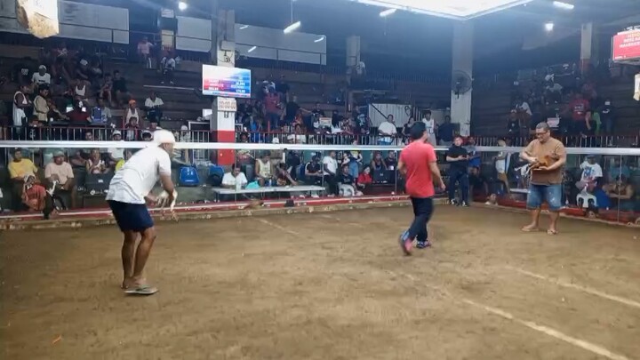 Maingat mag laro 🐓