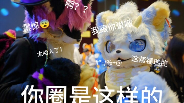 当两个福瑞聚在一起会。。。？