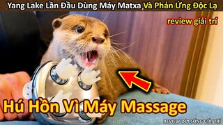 Phản ứng Độc Lạ của Yang Lake khi lần đầu dùng Máy Massage || Review Đời Sống Giải Trí