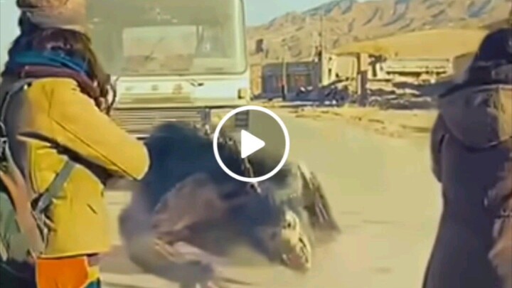 NAPAKAGANDANG PELIKULA ETO SEARCH NIYO AGAD