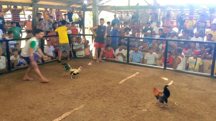 unang panalo sa 2026