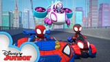 Spin Rushes In | Marvel's Spidey and His Amazing Friends | @Disney Junior