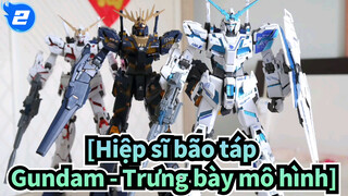 Trưng bày mô hình Nhân Vật Hiệp sĩ bão táp Gundam_2