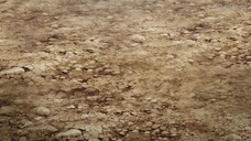 Kingdom S6 Eps 10 Sub Indo