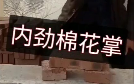 内劲掌