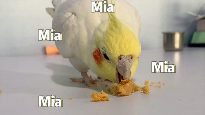 ฉันสงสัยว่าจ้าวเต๋อจู้กำลังด่าฉัน แต่ฉันไม่มีหลักฐาน