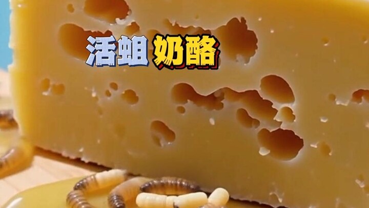 Phô mai giòi sống làm từ trứng ruồi, giá bán lên tới 1.000 euro mỗi kilogram?