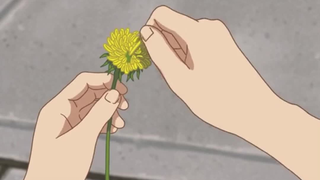 脑洞大开的超治愈动画短片，永远不知道下一秒会发生什么.....