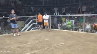 tornado hatch pila coliseum