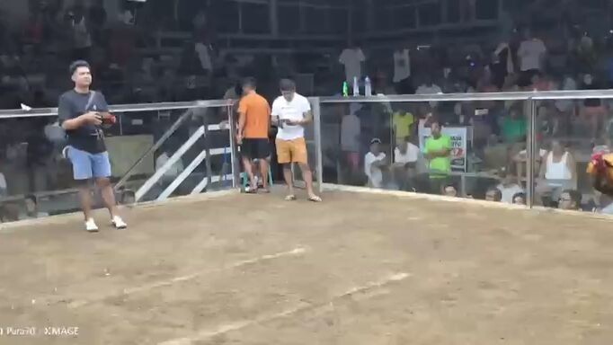 tornado hatch pila coliseum