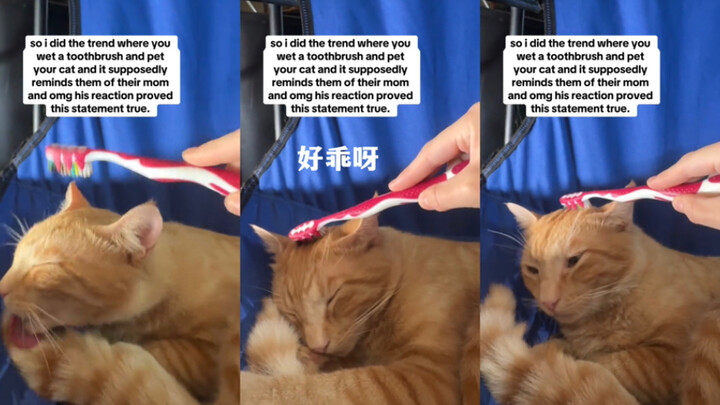ôi trời ơi🥺🥺