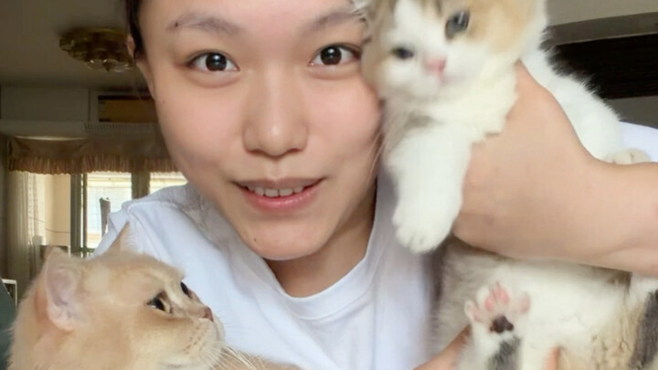 Cứu tôi với! Sau này mà biến thành con mèo sấm sét thì phải làm sao đây