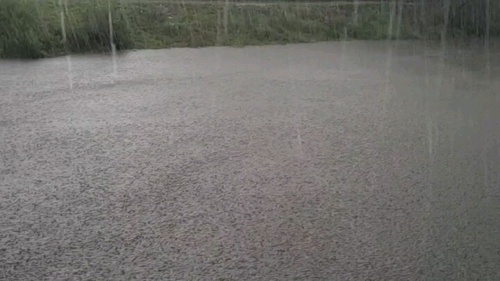 rain