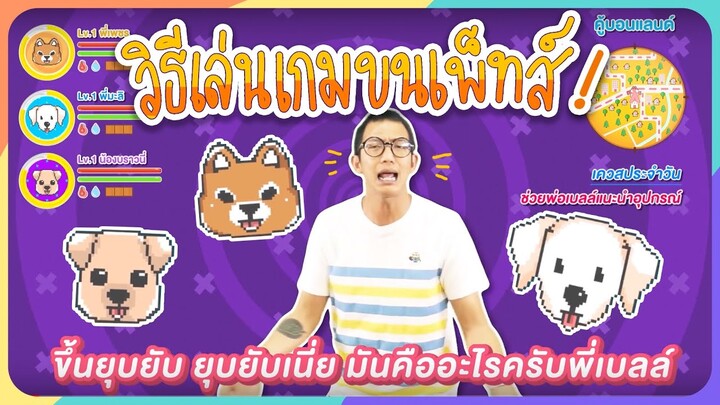 แนะนำรายการวีดีโอรูปแบบใหม่ ที่ไม่เคยมีที่ไหนมาก่อน !! EP.2 - KHONPETS [สาระน่ารักมาครบ]