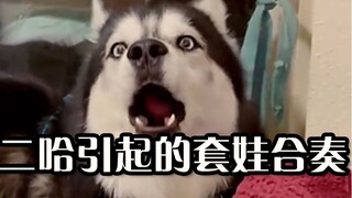 因为一只二哈歌声引起的接龙套娃合奏