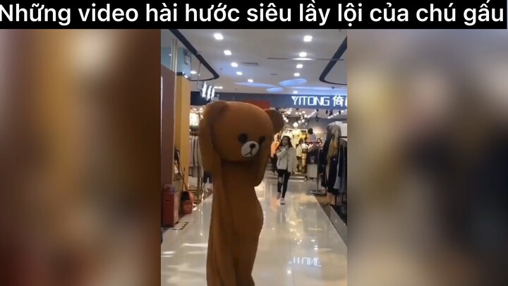 Chú gấu siêu lầy lội hài hước#haihuoc#hài#gau#tt