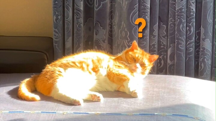 How’s it going? Am I nailing the vibe?