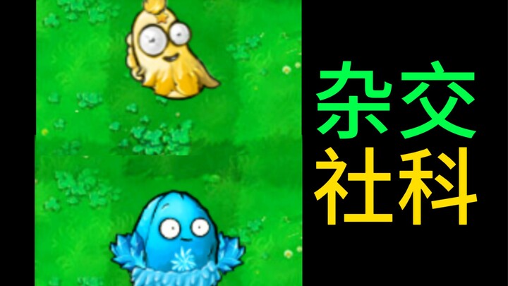 What If We Used Hybrid Plants to Study Discourse and Power? [PVZ Social Sciences]