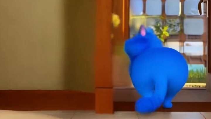 Moon half cat received a mysterious dress