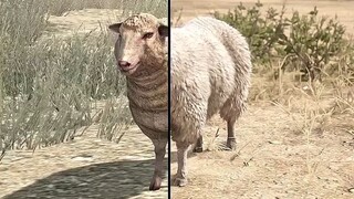 RED DEAD REDEMPTION ANIMAL COMPARISON