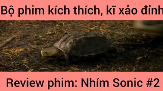 Review phim: Nhím Sonic #2