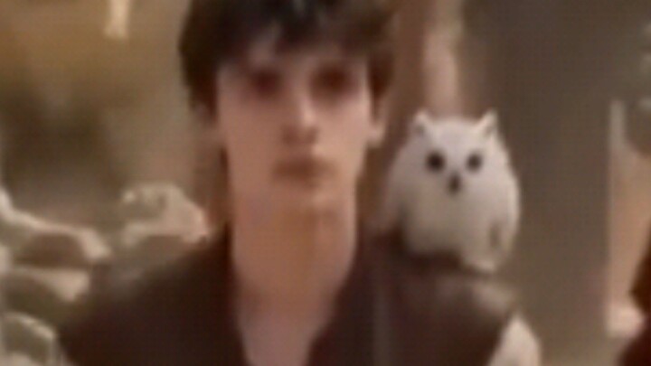 AI  My_ Owl_ My_ Empire_