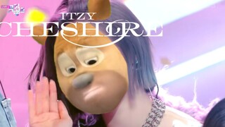 柴 郡 熊——Bramble熊二版Cheshire公开！