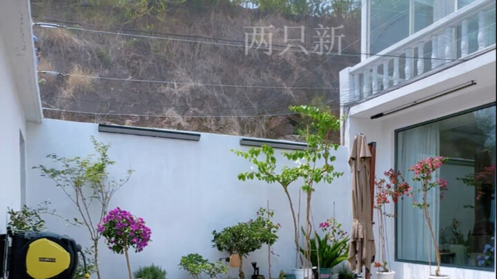 Không chịu nổi nữa rồi, chỗ dựa núi thì có quá nhiều ruồi, bèn căng luôn một cái màn lớn luôn!