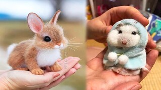 Cute baby animals Videos Compilation cute moment of the animals #4 Cutest Animals 2022