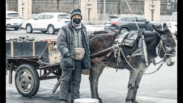 大哥不知道，我偷偷喂了他的驴一颗糖~