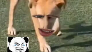 แฟนเก่าดีกว่า