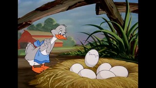 Tom & Jerry Best_of_Little_Quacker___Classic_Cartoon_Compilation