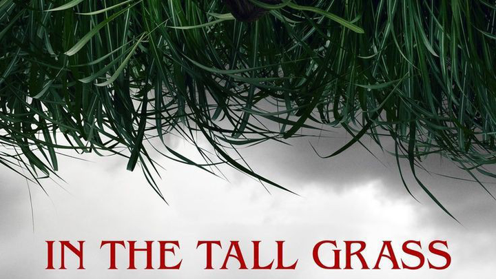 In the Tall Grass