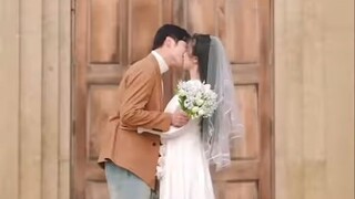 Hay là chúng ta bắt đầu lại đi 12