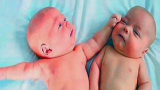 Twin Babies ไม่เคยทำให้เราหัวเราะ - ทารกแฝดที่น่ารักที่สุดเท่าที่เคยมีมา Funniest Home Videos