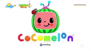 CocoMelon Engliah 3