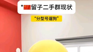 The Unspoken Understanding Between Lizi