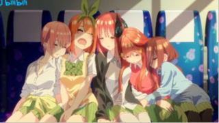 Stay  Quintessential Quintuplets AMV #AMV