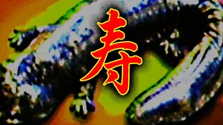 【大祭尸】自制短片《寿》一段并不存在的电视录播，老人与腐朽的口