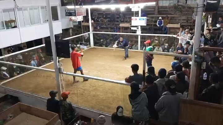 Last Fight win. unscratched