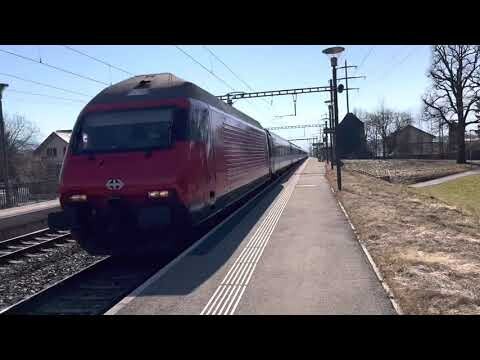 FAST SBB TRAINS (160kmh) WITH HORN! Trains in Kiesen on a sunny morning with lots of action