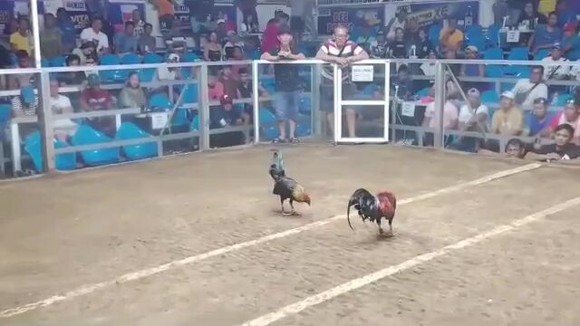 4th win tanggol @NECA