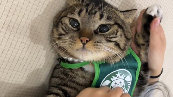 คุณอยากได้แก้วขนาดกลาง ขนาดใหญ่ หรือแค่บีกเกอร์เล็กๆ แบบนี้ของฉัน?