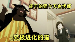七月新番：喜欢看存折余额的能干猫，女主生病只能独自操持家务